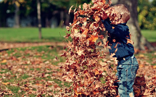 Barn som kastar löv