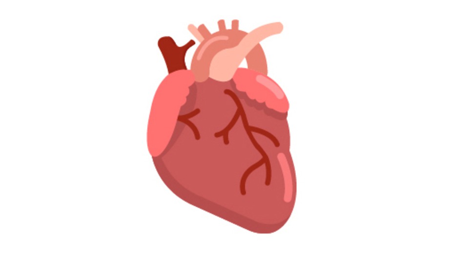 illustration tecknad av ett hjärta