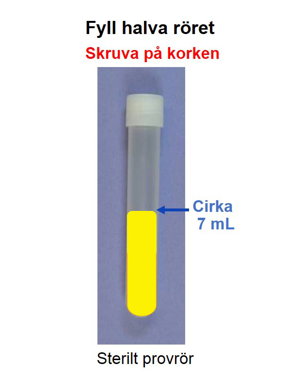 Fyll halva röret med urin